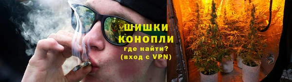 Альфа ПВП Белокуриха
